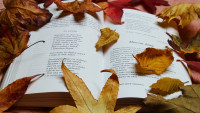 poezie open-book-7570133 1280